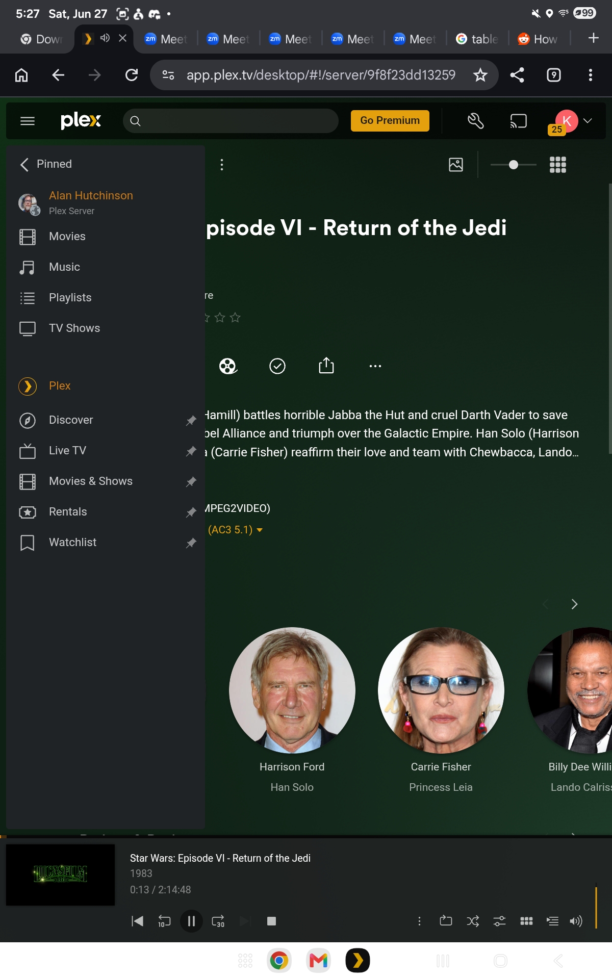 Plex sidebar showing pinned Alan Hutchinson libraries
